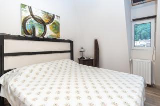 House 54 - Brasov - 3