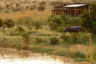 Cheetah Ridge Lodge - 3