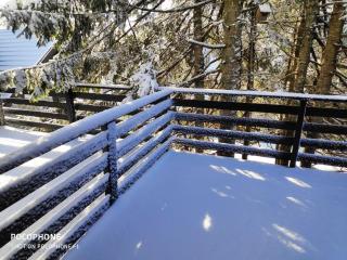 Tree Top Rogla Apartment - 7