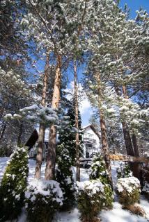 Apartments Breza - Zlatibor - 5