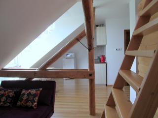 Vila Liana - Braşov - 5
