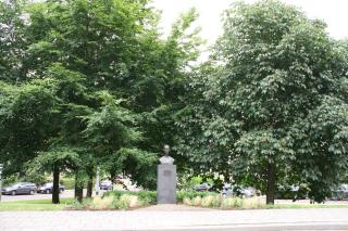 Arnhem Studios - Arnhem - 4
