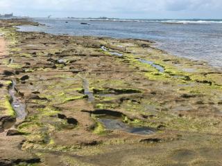 Beach Class Muro Alto - 3