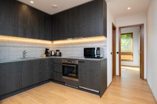 Self-check-in spacious 1 bedroom apartment with free parking - 9