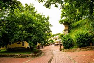 Hotel Stari Podrum - Ilok - 9