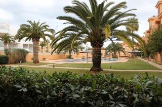 187 Palm Beach - Deniasol - Dénia - 8
