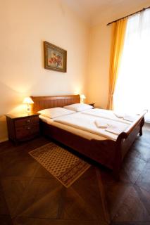 Hotel U Zlateho jelena - Prag - 9