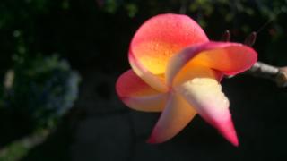 El Pequeño Hotel - Canovanas - 5