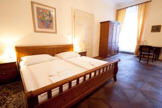 Hotel U Zlateho jelena - Prag - 8