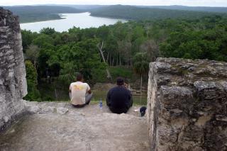 Peten Esplendido - Flores - 8