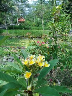 Loka Amertha - Sidemen - 4