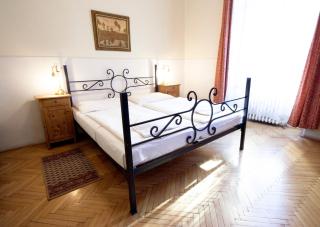 Hotel U Zlateho jelena - Prag - 6