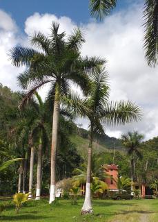 Paraiso Inn - Satipo - 6
