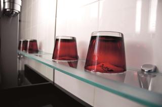 Radisson Blu Hotel Amsterdam Airport, Schiphol - 7
