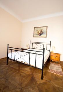 Hotel U Zlateho jelena - Prag - 5