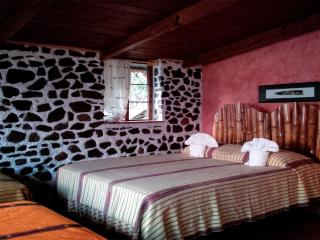 Hotel & Restaurante Arca de Noé - Santa Cruz La Laguna - 8