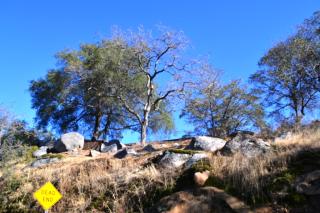 Shady Knoll - 9