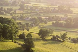 Half-pint Cottage - Stroud - 1