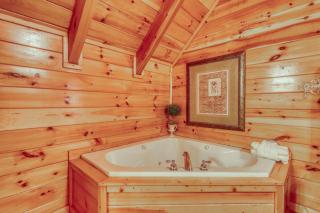 Treehouse - 8