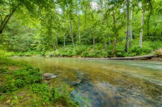 Laurel Waters - Ellijay - 8