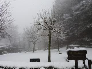 Il Molino Di Serravalle - 1