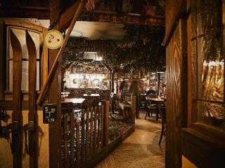 Pension Rüssel-Pub - Sangerhausen - 8