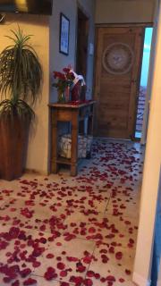 Mansion Aline - Rio de Janeiro - 9