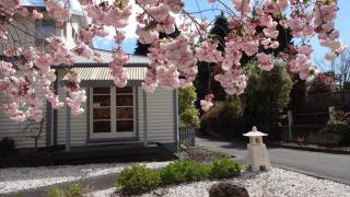 Macadamia Retreat - City Central Hygge - Rotorua - 9