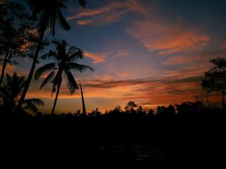 Angsoka Bungalow - Ubud - 3