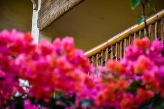 Owa Lodge Areguling - 1