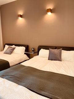 ひまわり 向日葵 himawari - 9