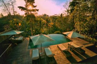 Angsoka Bungalow - Ubud - 4