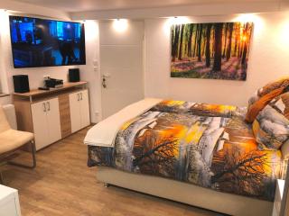 Ferienwohnung Apartment Dettum mit eigenem Bad, Kochnische und Wintergarten - 5