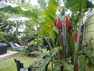 La case o'gecko974 - 6