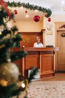 Spa Hotel Panorama - Karlovy Vary - 5