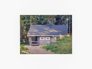 Holiday Home Mustikka by Interhome - Hauho - 5
