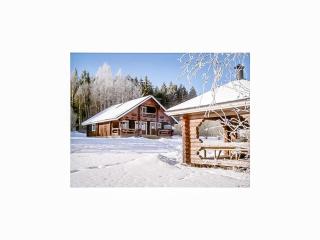 Holiday Home Karhunluola by Interhome - Hauho - 4