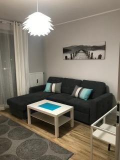 Apartament Calamo Tuwima Park - Olsztyn - 8