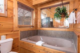 Nature's Paradise - Pigeon Forge - 9