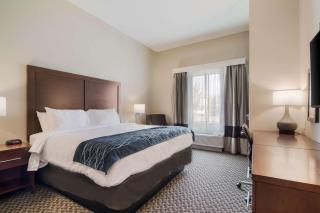 Comfort Inn & Suites - Rock Hill - 5