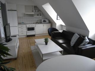 Central Heights - Copenhagen - 0