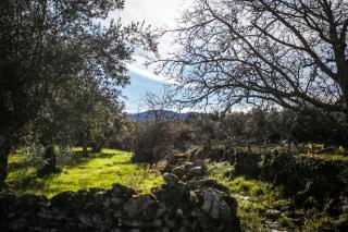 Suite da Casa da Avó - 2