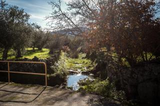 Suite da Casa da Avó - Marvão - 3