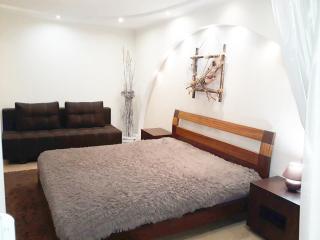 Apartment at Matusevycha Street 2-15 - Kryvyi Rih - 4