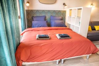 Grand Studio Stan Nancy - calme, cosy, lumineux - Nancy - 7
