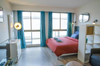Grand Studio Stan Nancy - calme, cosy, lumineux - Nancy - 1