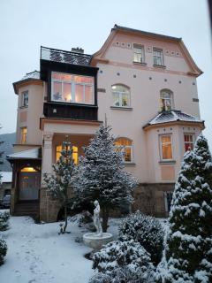 Villa Federer - Dolní Zálezly - 7