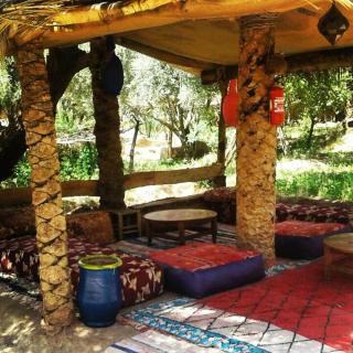 Eco-Ferme Tamalait Skoura - Skoura - 2