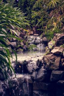 Hotel Rancho Constanza & Cabañas de la Montaña - 4