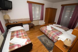 Guesthouse Špenko - 6
